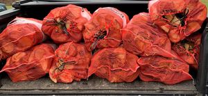 Premium Dry Firewood Energy-Related Birch Ash Oak with Premium Oak Beech <b>for</b> <b>Sale</b> - Product Image 3