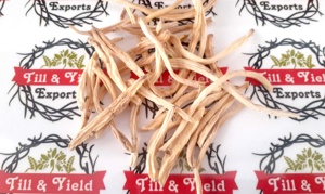 Chlorophytum borivilianum ปรับปรุงความแข็งแกร่งและมีผลกระทบอย่างมีนัยสำคัญต่อน้ำอสุจิและระดับในผู้ชาย - Product Image 5