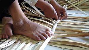 Cheap Price Dry Water Hyacinth for Handicraft by Supplier Vietnam - Product Image 5