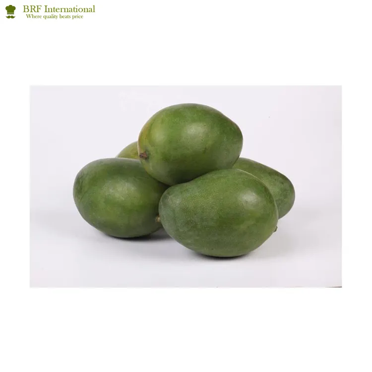 Trusted Supplier of Bulk Fresh Mango Fruit for Wholesale Buyers