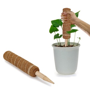 ขุยมะพร้าวMoss Pole StickสนับสนุนโรงงานSticks - Product Image 2