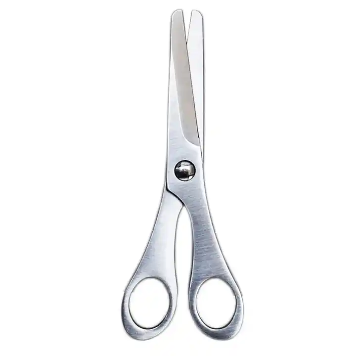 Oneida Stainless Steel Magnetic Shears