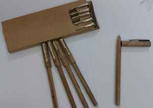 2022 nuevo bolígrafo promocional SUSI ecológico novedad papelería de negocios cuerpo de pluma logotipo personalizable tinta azul 0,7mm - Product Image 2