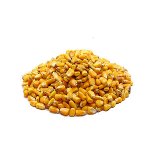 Maíz amarillo seco de la mejor calidad, alta demanda, 100%, venta al por mayor, exportación de Europa - Product Image 2