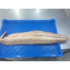 High Quality Frozen Mahi Mahi 90% <strong>Net</strong> Weigh Best Price in Vietnam and Thailand - Product Image 3