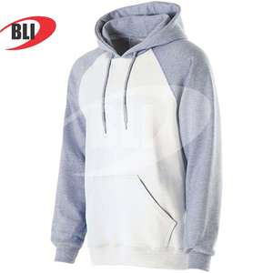 2025 prix de gros sweats à capuche 100% coton polaire plaine pull haute qualité rue mode hommes imprimer hiver 3XL OEM Services - Product Image 4