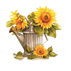 Handmade Retro Metal Watering Can Various Styles Indoor/Outdoor Garden Use High New Customized Finish Modern Attractive Home - Product Image 1