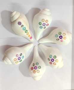 ลูกปัดเปลือกหอย Cowrie ยังมีรูเจาะเพื่อใช้ในเครื่องประดับหรือเป็นจี้ - Product Image 6