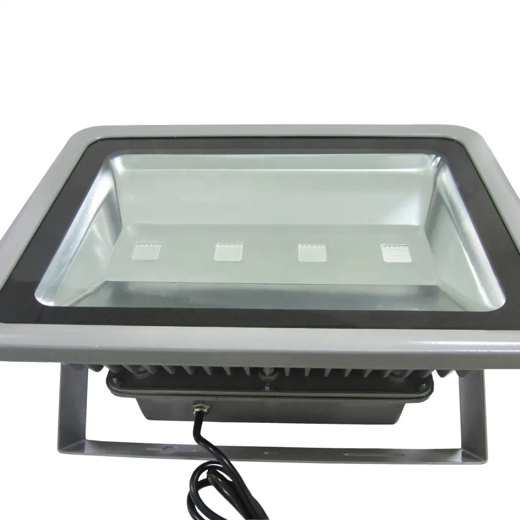 100 watt led flood light warm/cold white 50000 LED flood light waterproof floodlight 12v flood light