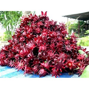 ชบา sabdariffa ในดอกไม้แห้ง100% ชาดอกไม้บริสุทธิ์และเป็นธรรมชาติ - Product Image 4