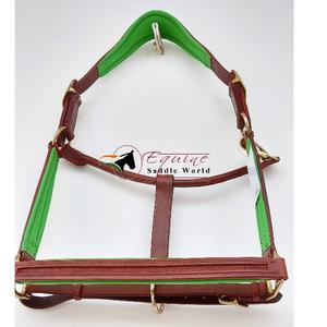 Qualité supérieure Châtaigne Cheval Équestre Halter Vert Cuir Rembourré avec Canal Vide sur le Nez Pièce de Joue Quincaillerie Dorée - Product Image 3