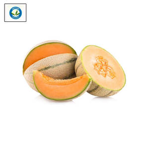 Huile de melon musqué à vendre Qualité superlative Vente en gros 100% pure - Product Image 1