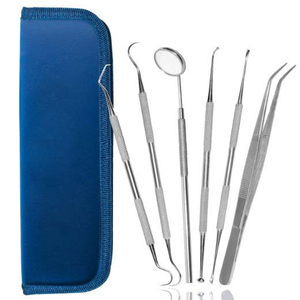 Wholesale 6-Piece Set Dentist <b>Tool</b> Kit Tarter Remover Tweezers <b>Cleaning</b> <b>Teeth</b> Equipment Anti-Fog Mirror OEM ODM - Product Image 1