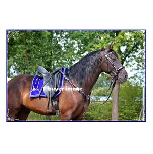 Tapis de selle de dressage anglais en tissu de velours bleu personnalisé Tailles et couleurs personnalisées disponibles - Product Image 2