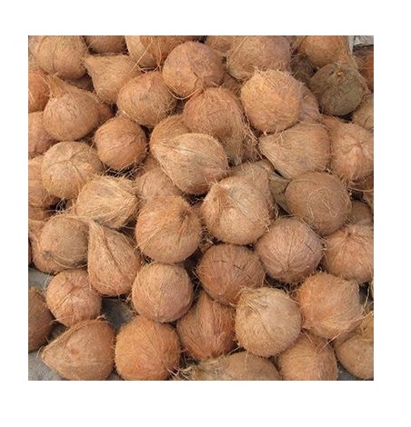 100% древесный уголь из скорлупы кокосового ореха из Вьетнама