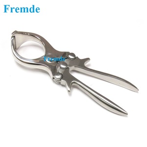 ÉLASTEUR - Product Image 2