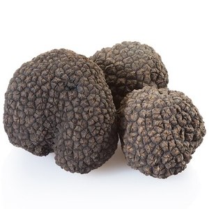 buy chinese new crop delicious iqf frozen black truffle mushroom