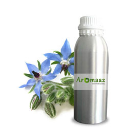 AROMAAZ INTERNACIONAL Fabricante y mayorista de aceite a granel portador de borraja prensado en frío de semillas aceites esenciales - Product Image 3