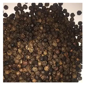 Melhor venda natural preto tempero de pimenta 100% orgânico seco preto pimenta disponível a preço acessível