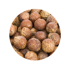 100% naturel Extrait De Fines Herbes Séchées Plantes Reetha Savon Écrou Fabricant - Product Image 4