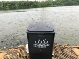 Alimentador automático para estanque de <span class=keywords><strong>peces</strong></span>, alimentador profesional de gran capacidad, 120 kgsemiautomático - Product Image 3