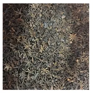 Anice stellato essiccato biologico certificato al 100% prezzo all'ingrosso spezie indiane semi di anice stellato acquista dal produttore indiano