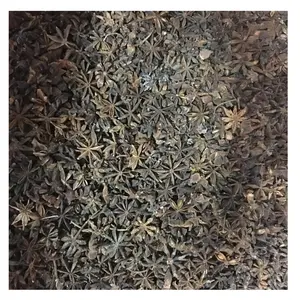 经认证的100% 有机八角茴香批发价格印度香料八角茴香种子从印度制造商购买