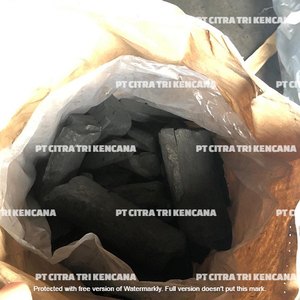 La temporada de barbacoa viene en Zawiya, EID AL ADHA, es el mejor momento para importación de carbón de madera dura de INDONESIA - Product Image 6