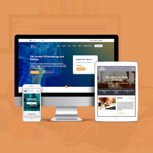 India Web Site Development Company | Responsive Website Design & Development Company in India | Website Services by Webroot - Product Image 6