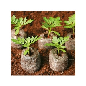 Coir Jiffy-Pellet hecho de turba, fácil de cultivar tus propias plantas, 99 DATOS DE ORO - Product Image 1