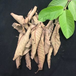 Feuilles de Guava séchées de haute qualité, pièces, du Vietnam - Product Image 5