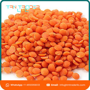 Excellente qualité de haricots Masoor entiers séchés biologiques en vrac provenant d'un fournisseur fiable - Product Image 3