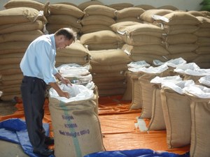 Pimienta Negra de Vietnam 580GL FAQ en Oferta, Pimienta Entera Seca, Exportación a Granel, Suministro de Fábrica al por Mayor - Product Image 3