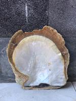 Perle en nacre naturelle brut pour bijoux et décoration de la maison, bricolage DIY, 1 pièce