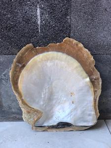 Tự Làm Mẹ Của Ngọc Trai Nguyên Biển Tự Nhiên <span class=keywords><strong>Shell</strong></span> Cho Đồ Trang Sức Hoặc Trang Trí Nhà - Product Image 2