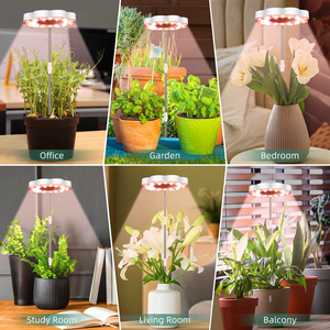 ไฟ LED สำหรับปลูกพืชแบบเต็มสเปกตรัมพร้อมคลิปติดโต๊ะสวิตช์อัตโนมัติและท่อปรับได้ - Product Image 6