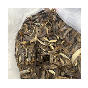 Natural Murex opérculo de Vietnam-buen Material para hacer Perfume - Product Image 6