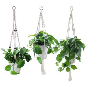 Mini colgador de macramé para plantas, decoración del hogar con diferentes colores para uso en el jardín, precio bajo en Isar International - Product Image 2