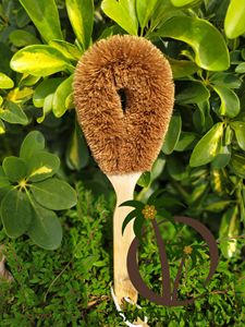 Juego de pinceles de Coco para la cocina, juego de brochas de Coco para la cocina - Product Image 3