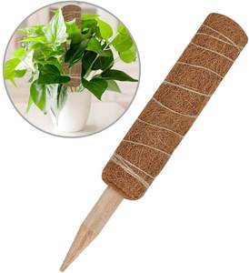 Bâton de soutien pour plantes grimpantes en coco naturel et durable, bâton en bambou pour le soutien des plantes - Product Image 6