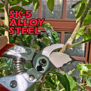 Tijeras de podar de alta calidad, para cortar ramas - Product Image 6