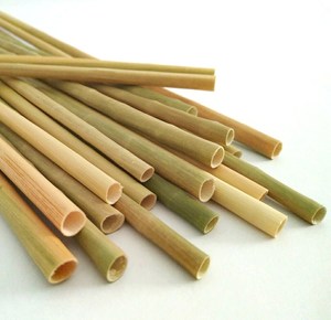 Hot sales ENVIRONMENTALLY FRIENDLY <b>DRINKING</b> <b>STRAWS</b> GREEN AND DRIED - Product Image 1