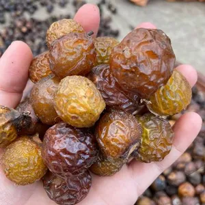 100% Natural Seedless Soap Nuts Soap Berry With High Quality From Vietnam 0084947900124