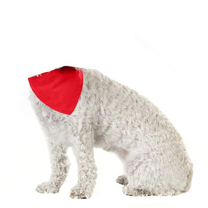 Bandana refrescante para mascotas - Product Image 6