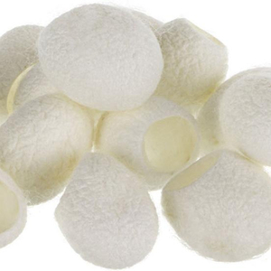 Coquilles de cocon de ver à soie blanches / Coquilles de cocon de ver à soie jaunes - Product Image 2