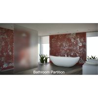 Película de ventana esmerilada, rollo de privacidad, puertas de vidrio, cortinas, pegatina decorativa