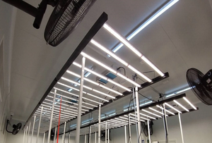 Lampu Tumbuh LED COB Spektrum Penuh IP65 <span class=keywords><strong>400W</strong></span> untuk Rumah Kaca Dalam Ruangan, Tanaman Komersial, Dapat Diredupkan, Lm281b Lm301h, Hidroponik, Hortikultura - Product Image 5
