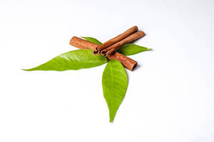 น้ำมันหอมระเหยใบอบเชยออร์แกนิคแท้ 100% จากศรีลังกา สกัดด้วยไอน้ำ มีจำหน่ายสำหรับการซื้อจำนวนมากในราคาประหยัด - Product Image 4