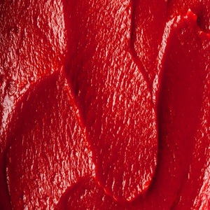 Pasta de tomate orgánica a granel para cocinar, producto de alta calidad, precio bajo, calidad similar al barro, con stock fresco - Product Image 2