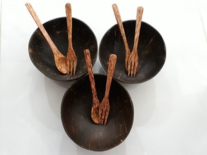 Cuenco de madera de coco natural elegante para ensalada, decoración de lujo, cuenco de coco, juego de regalo, Envío listo, cáscara de coco, costero personalizado - Product Image 3
